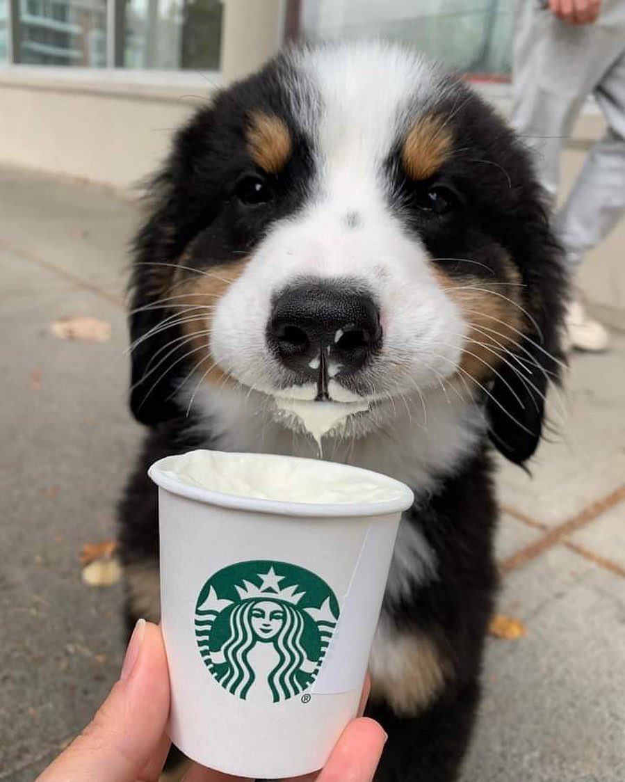 twaniimals's tweet photo. https://t.co/pJaDoK73i8