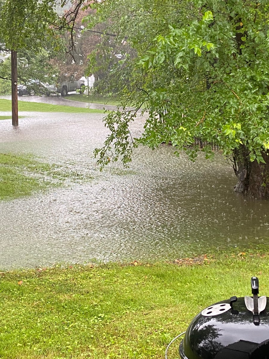 MelShust's tweet photo. We live on ‘Willowbrook’ lane and every couple of years I think we can see ‘Willow Brook.’  This afternoons sighting was particularly impressive.  (There’s supposed to be a street there, not a Brook) https://t.co/EeovIVFEHI