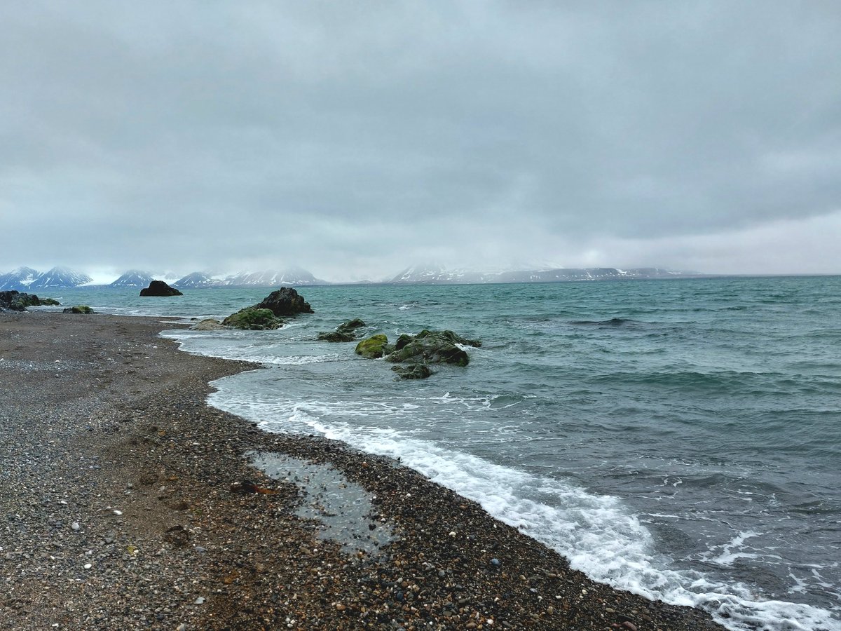 Another good day #BIOPOLE sampling by the @UK_CEH team in Svalbard. Lots of great rivers to choose from. We're going to have a very busy month!