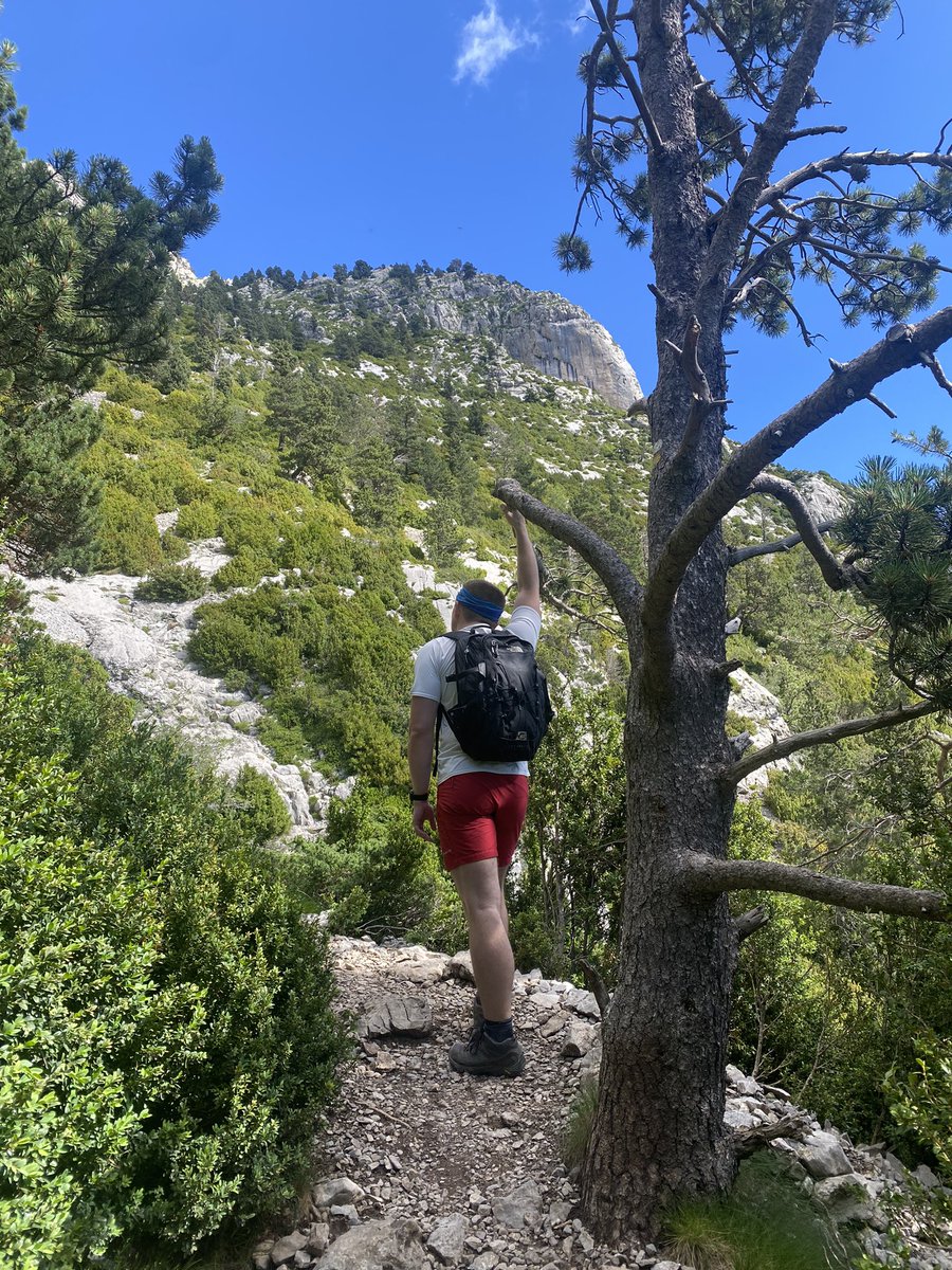 re.gina tweet media