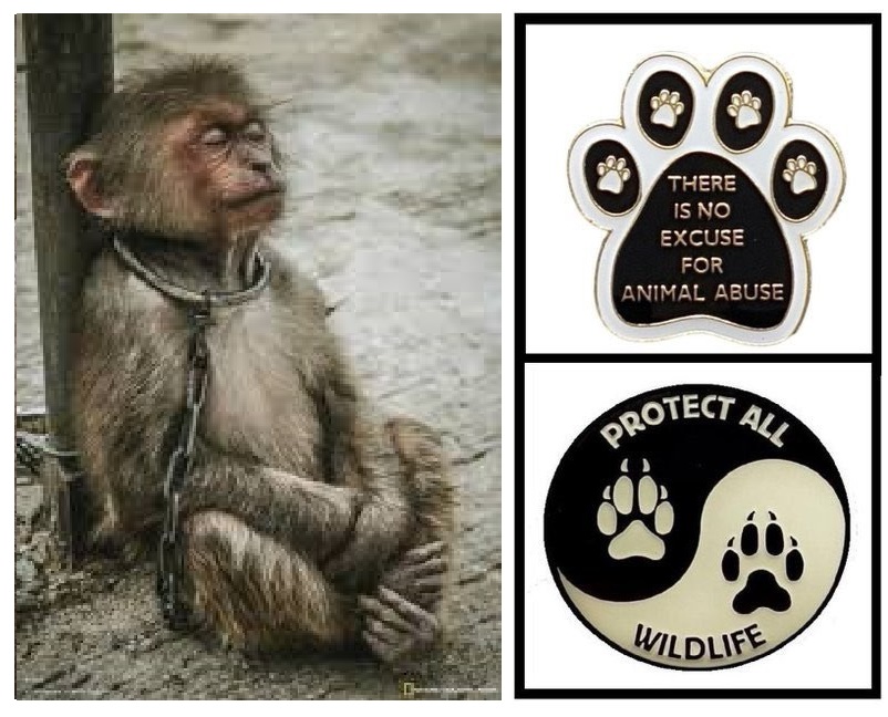 'If you don't have empathy with animals, you don't have empathy at all.' ~ Ricky Gervais. Let everyone know that you have empathy for animals when you wear one of these unique PAW badges available at protect-all-wildlife.ecwid.com.