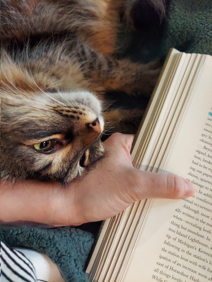 She likes to get up in my space when I'm reading 😂🐱📖