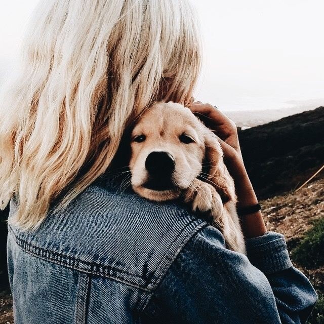 BadassLamia's tweet image. ⟣⿻

───┉ 𝗺𝘆 𝗰𝗵𝗶𝗹𝗱𝗿𝗲𝗻⨟