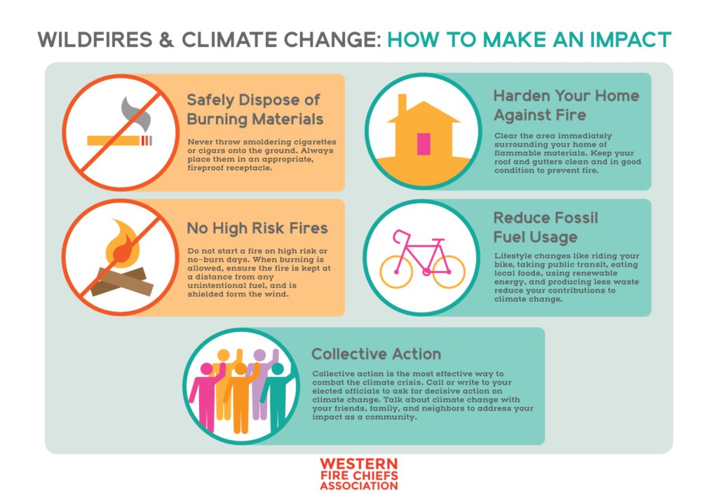 EM203DYasin's tweet photo. Discussing the issue of climate change and wildfires, there IS something individuals can do to have an impact. Here is a cool infographic discussing it: https://t.co/lhpYwz9FPb https://t.co/4d933W6rqj