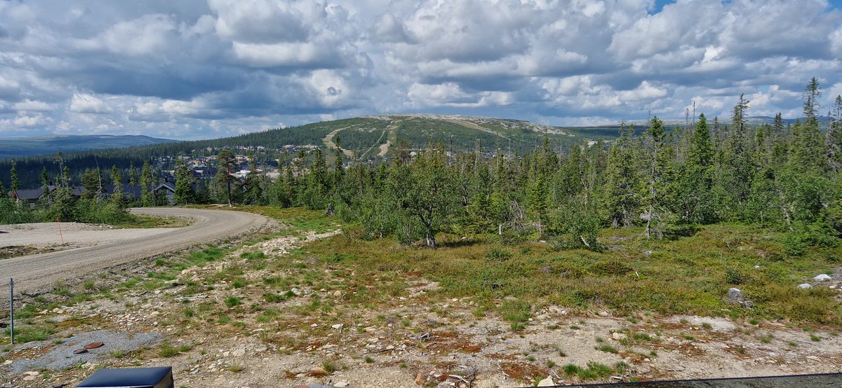 Kristian Björk Grimberg tweet media