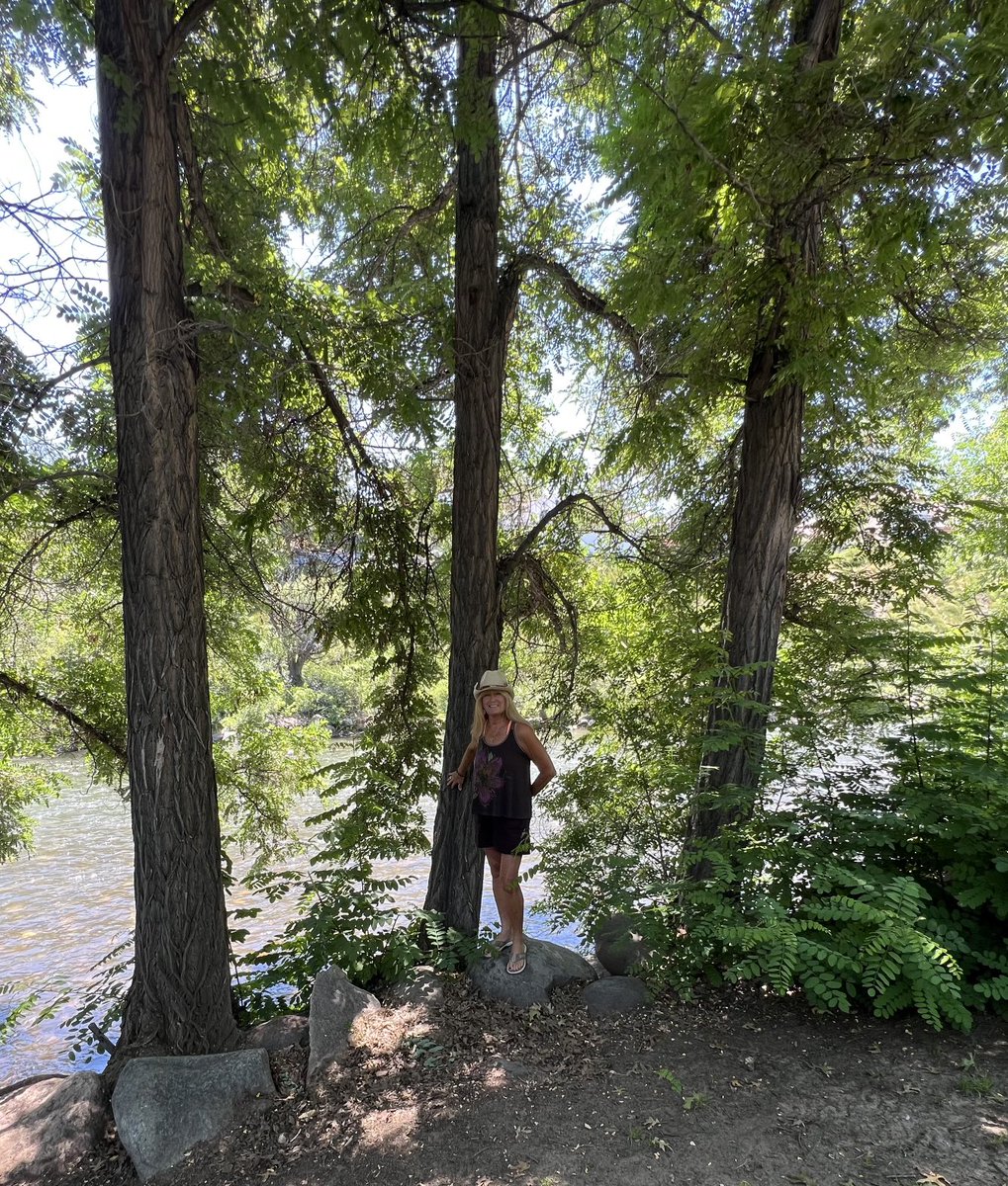 caryn_maroni's tweet photo. I had to “Keep On Trucking” into the #TruckeeRiver
#BringMeSomeWater 💦🌊💧 #LoveMeSomeNature 🙏🏻💜💜🙏🏻 https://t.co/7ZdXn4LxV9