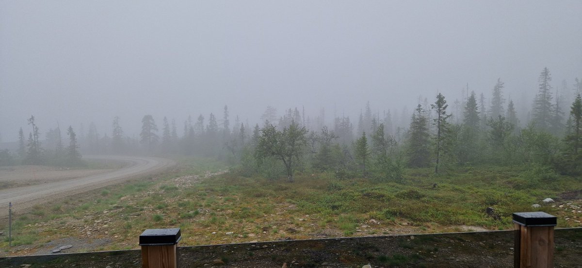 Kristian Björk Grimberg tweet media