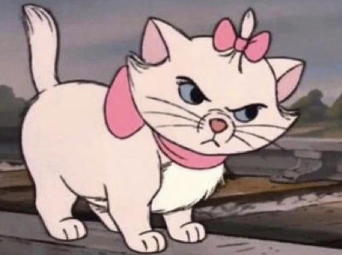 Mi problema es que no se disimular cuando algo me molesta.