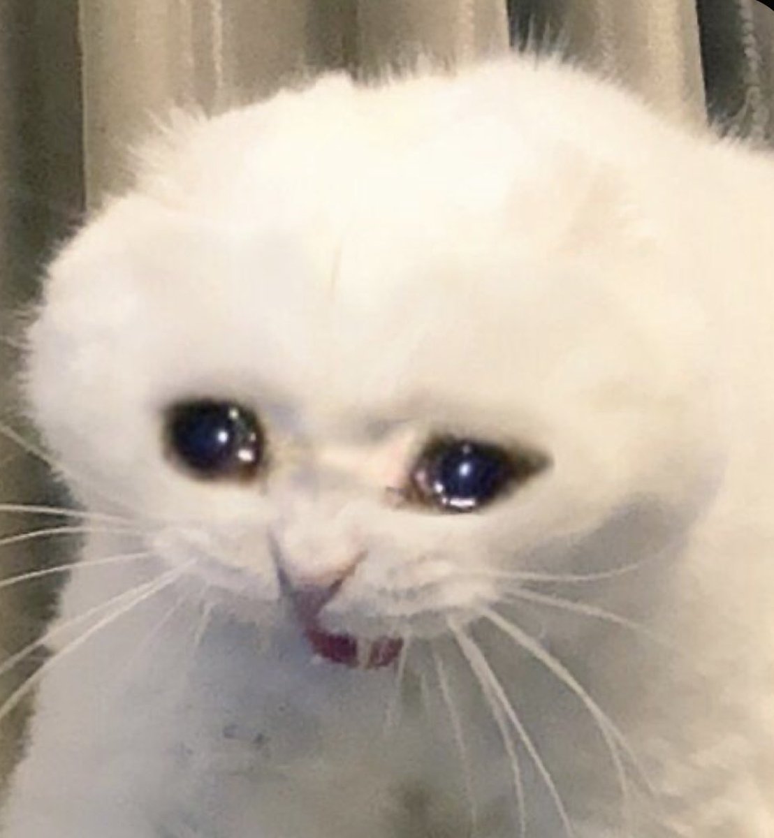 Yo ahora mismo, después de terminar de ver firefly lane.