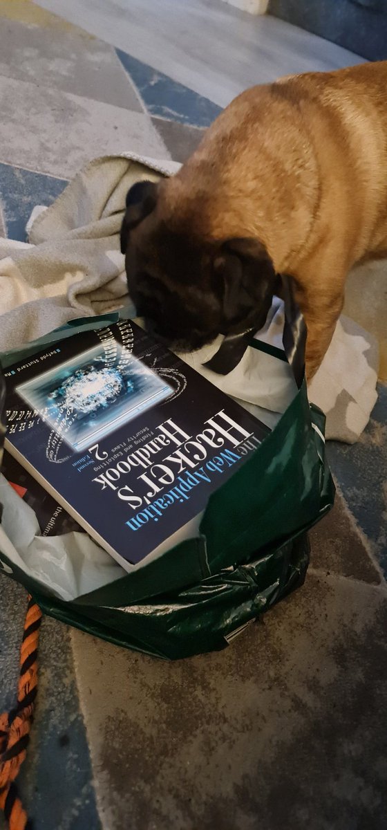 fekitcba's tweet photo. #HackerDog sniffing out his old books! https://t.co/7ekRO3N4PP