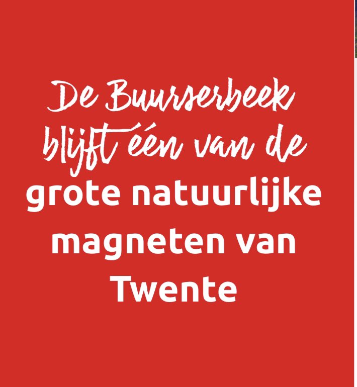 Han ten Dam tweet media