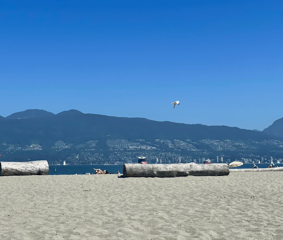 Sunday morning at Jericho 🏖️☀️
#jjbean #vancitylife #sundayvibes