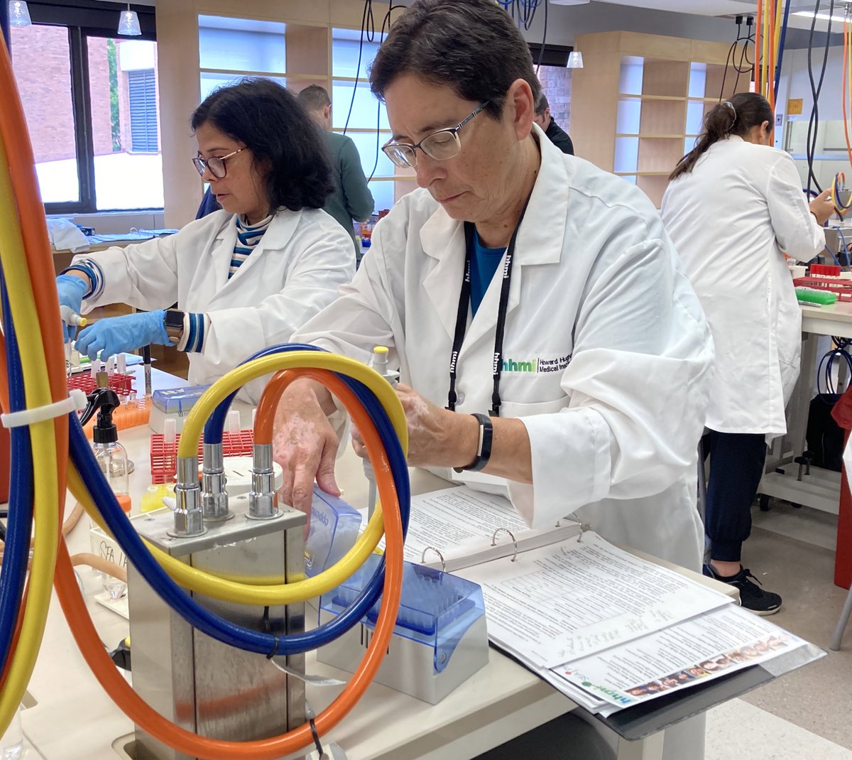 CornelyKathleen's tweet photo. Afternoon lab work at the Phage Discovery Workshop @UMBC. Everyone is picking up the techniques so quickly that we’re ahead of schedule! #SEAPHAGES @HHMINEWS https://t.co/JXeZMk28SN