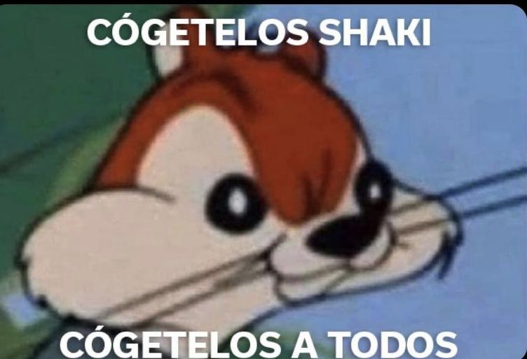 Bri (@brigitox) on Twitter photo 