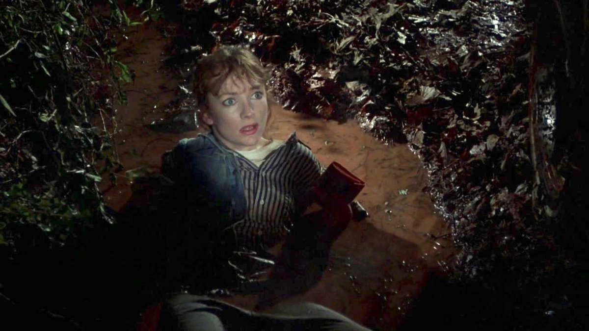 EugWSerra's tweet image. Happy birthday to Nancy McLaughlin! #NancyMcLaughlin #JasonVoorhees #JasonLives #FridayThe13thPart6 #FridayThe13thPartVIJasonLives