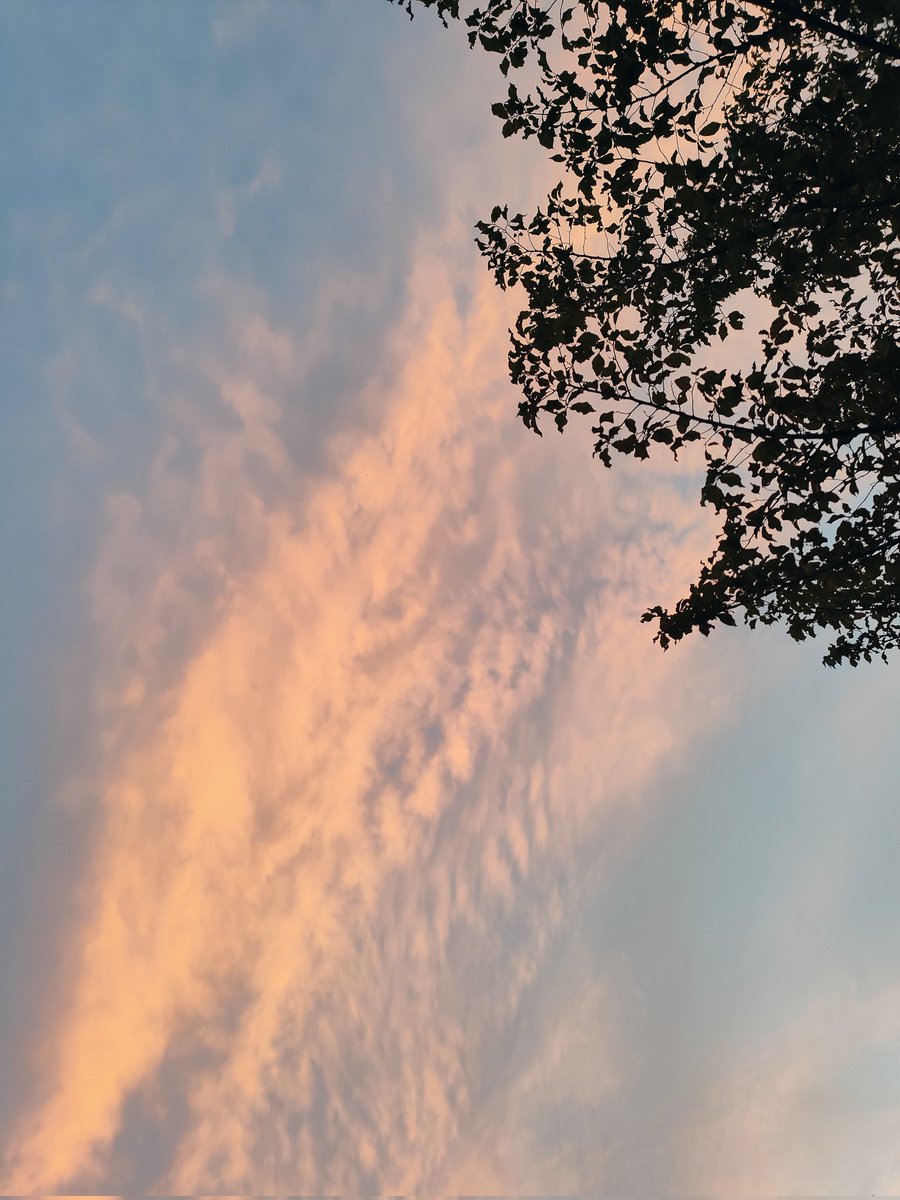 Si algun dia em perdeu probablement sigui perquè m'he quedat enrere fent fotos al cel 🌌✨