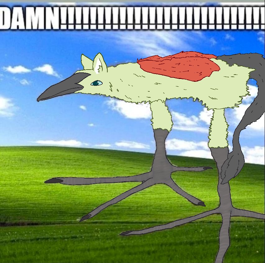 Jay Gryphon (the green one!) tweet media