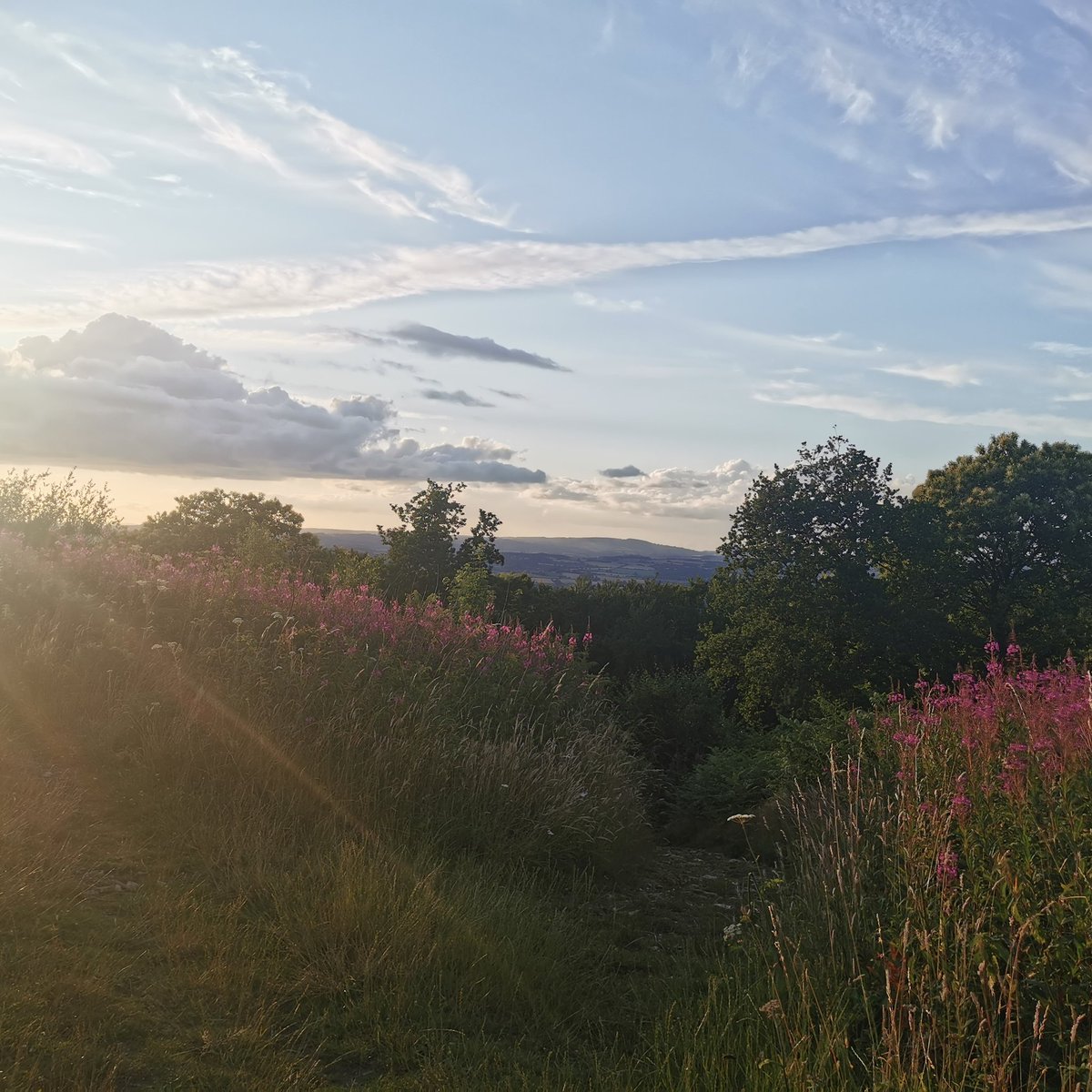 Lucy Ford tweet media