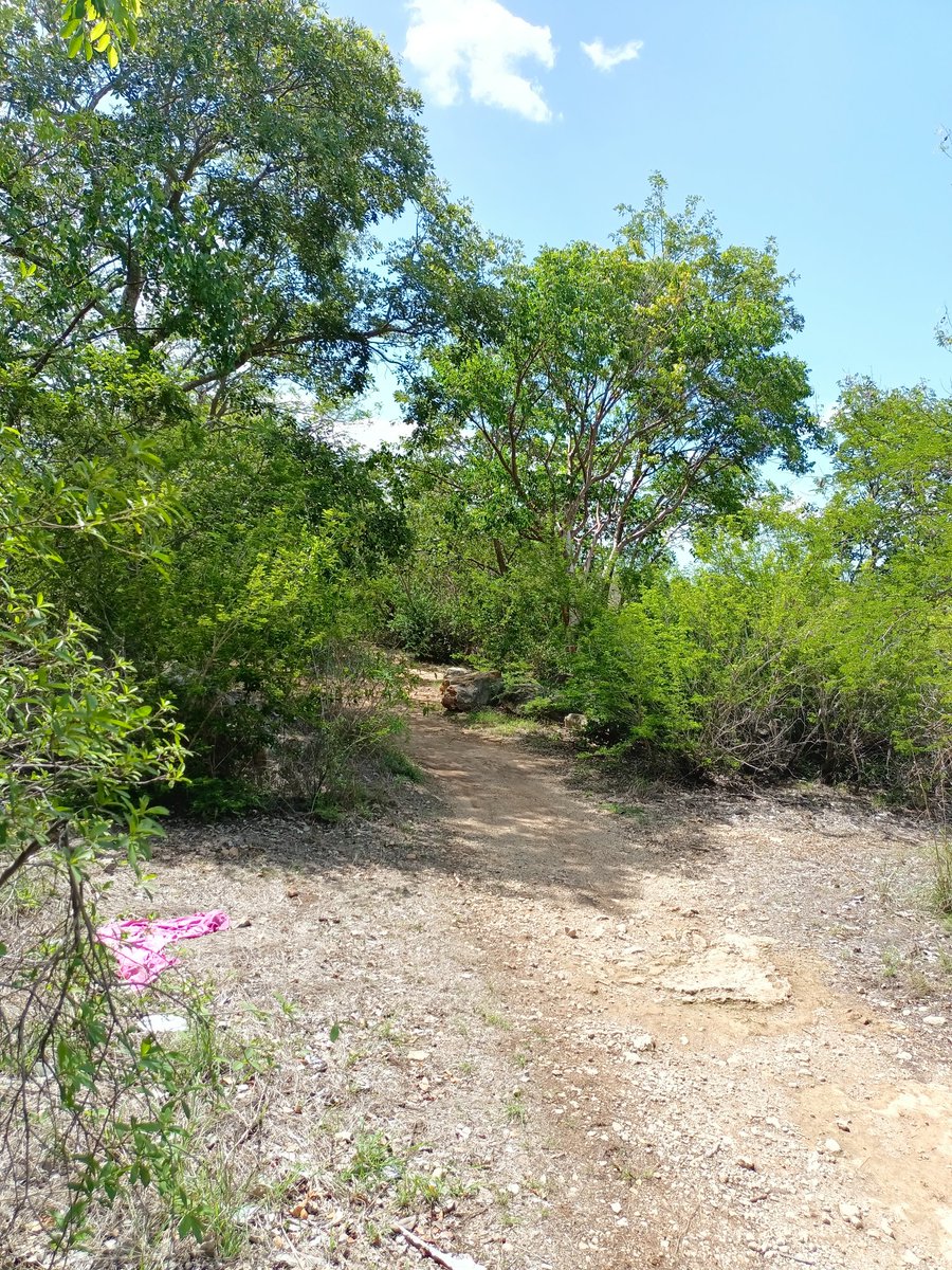 Yucateco Hot tweet media