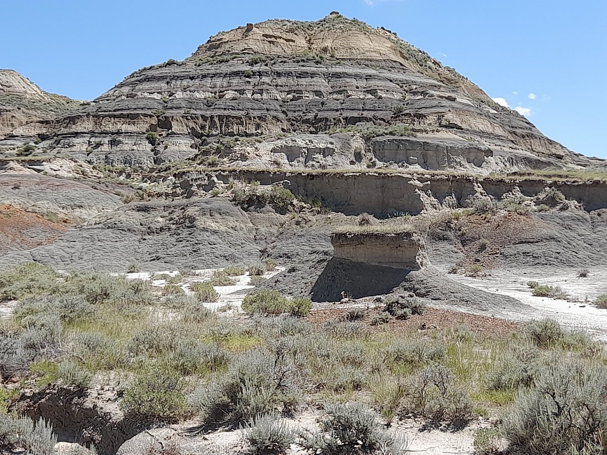 Finally Bandana and I back India after almost month long visit to UW- Greg's mammal n Caroline’s phtolith lab,  Burke Mus n field visit Montana Hell Creek dinos /K-Pg section. Fruitful interaction with Greg and David Demar.  Productive  exchange  visit under cirrent NSF Grant.