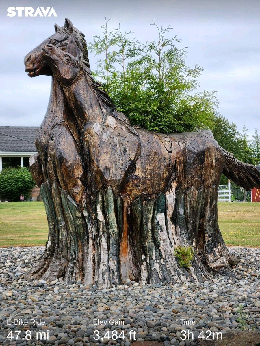 JimLDurham's tweet image. Day 2. Seven of us rode from Kelso WA to Veronia OR, crossing the Columbia River via the Longview Bridge. Great weather, 60 degrees at ride start, mid 70s later,  low humidity. Interesting wood carvings. Tomorrow: Portland OR. #SP2023 strava.app.link/lnXsKSa8iBb