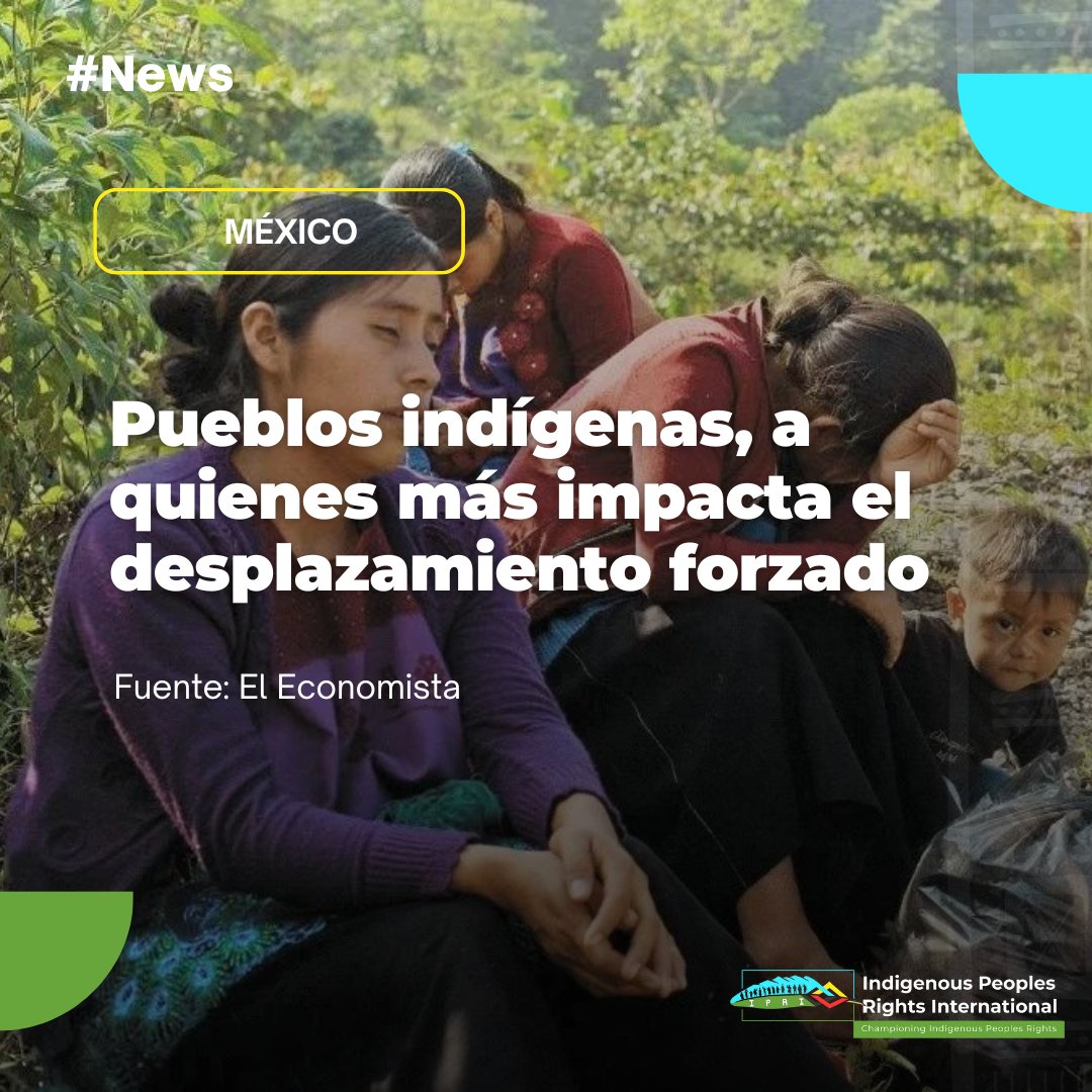 Indigenous Peoples’ Rights International - IPRI tweet media