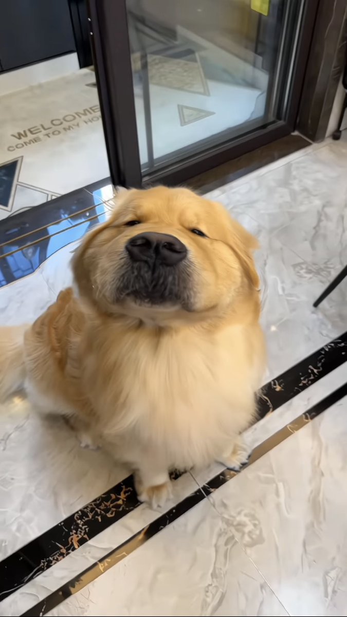 takemybear 🐶 tweet media