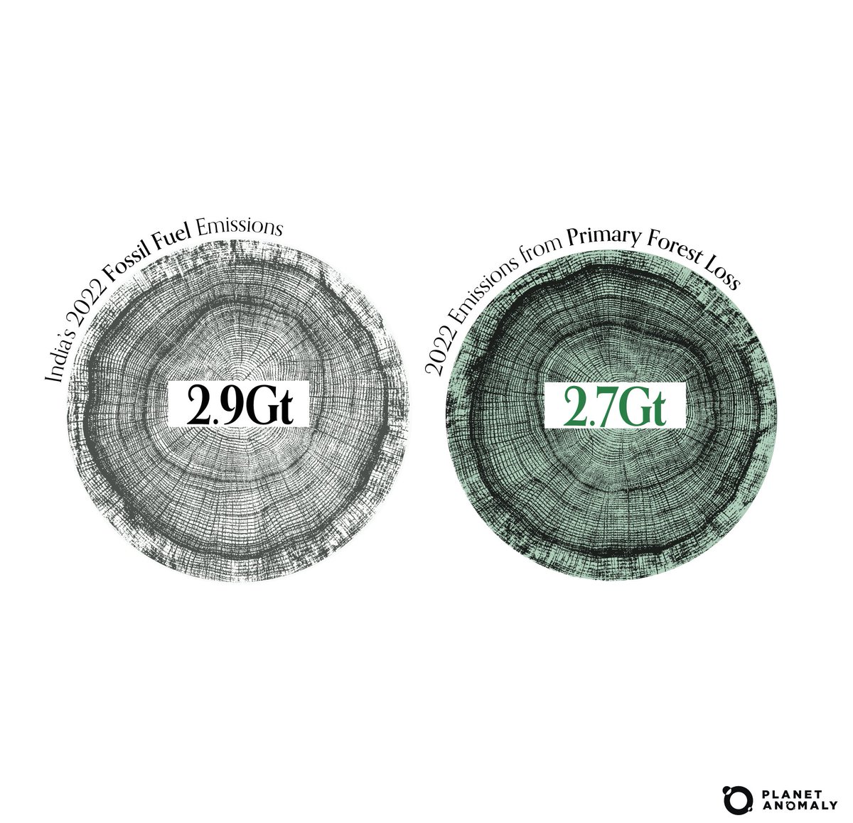 planetanomaly_'s tweet photo. In 2022, the world lost 11 football fields of tropical rainforest every minute, and wiped out old-growth #forests equivalent to the size of Switzerland 🌳

2022 Forest Loss Visualised in Five Charts—read now at https://t.co/z4XU4SIlnm https://t.co/lzOHDc6vZU