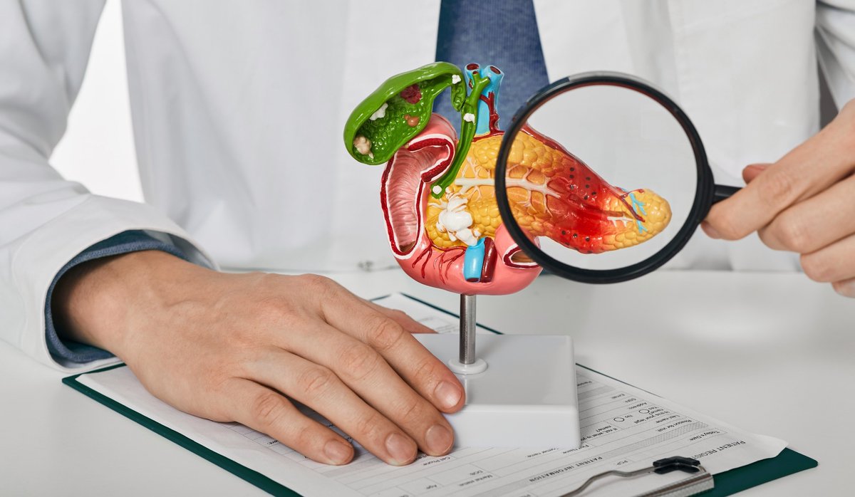 NewsMedical's tweet photo. New study shows circulating anti-insulin CD4 T cells reflect progression of anti-islet immunity https://t.co/8fW8ybH5BH #autoimmunity #CD4Tcells #insulin #isletimmunity #immunology #research #diabetes @ScienceTM https://t.co/CKmXitq9eQ