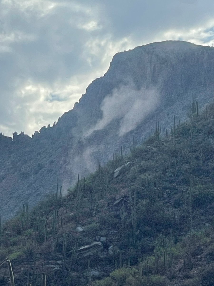 Coronado NF tweet media