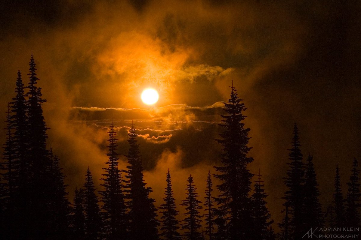 If you are interested in being the first to see my Death Valley gallery, and other updates feel free to subscribe to my newsletter…

adrianklein.com/contact/

Photo: A morning mountain hike above the timberline as the foggy sky clears. 

#sunrise #mountains #fog #pnw