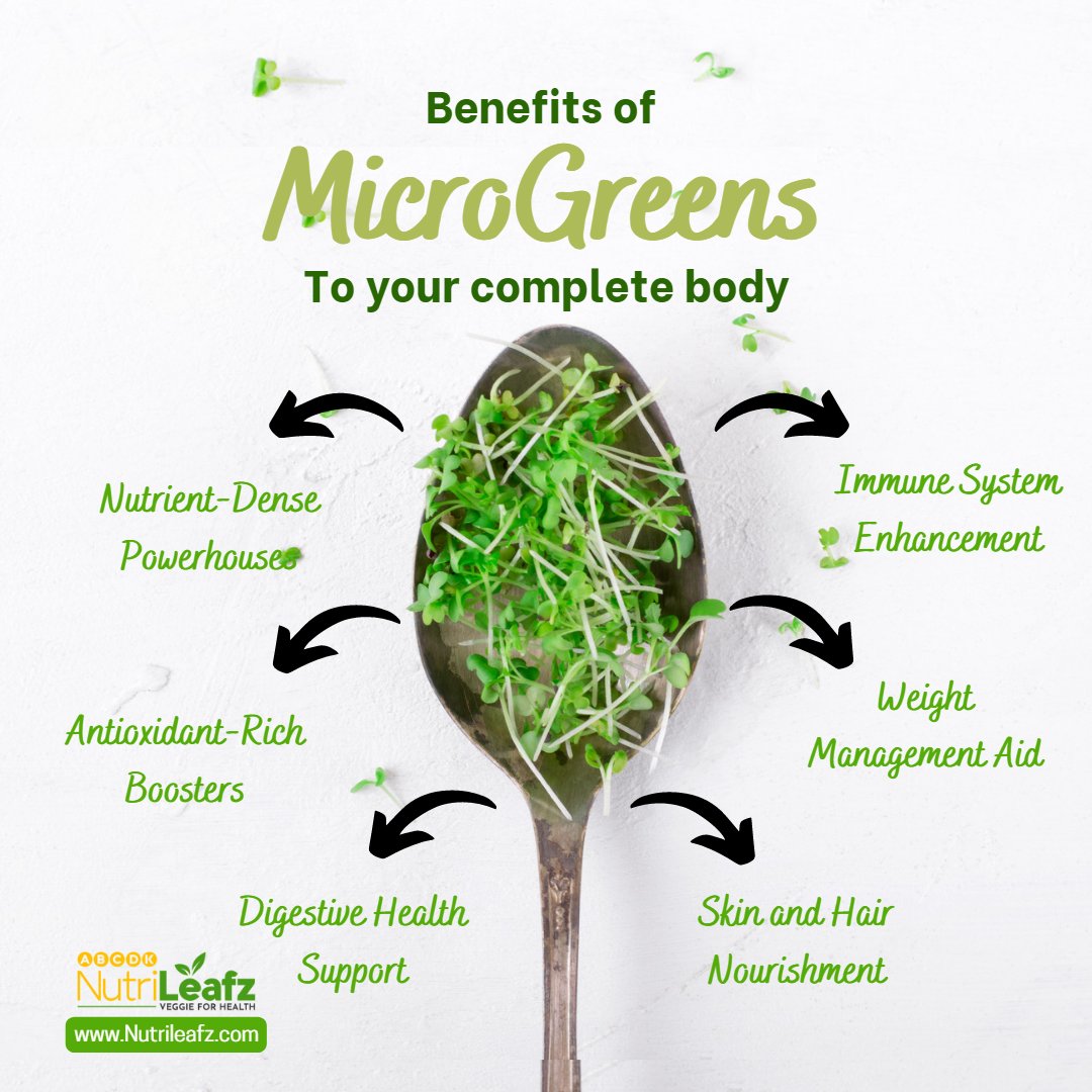 nutri_leafz's tweet photo. Microgreens are consumed in less quantity but have great health benefits and should be taken in your foods. 
These can be incorporated in your salads, soups and also in other dishes

Visit us at https://t.co/zIM1tulepg https://t.co/O3bVc9vsSI