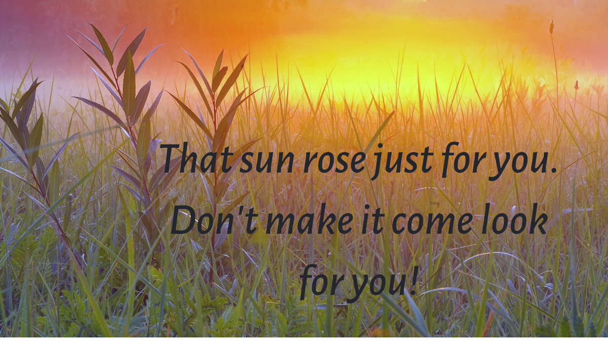 TrishM54's tweet photo. Make today count! #goodmorning #inspiration #mindet https://t.co/3NuWOuKlf3