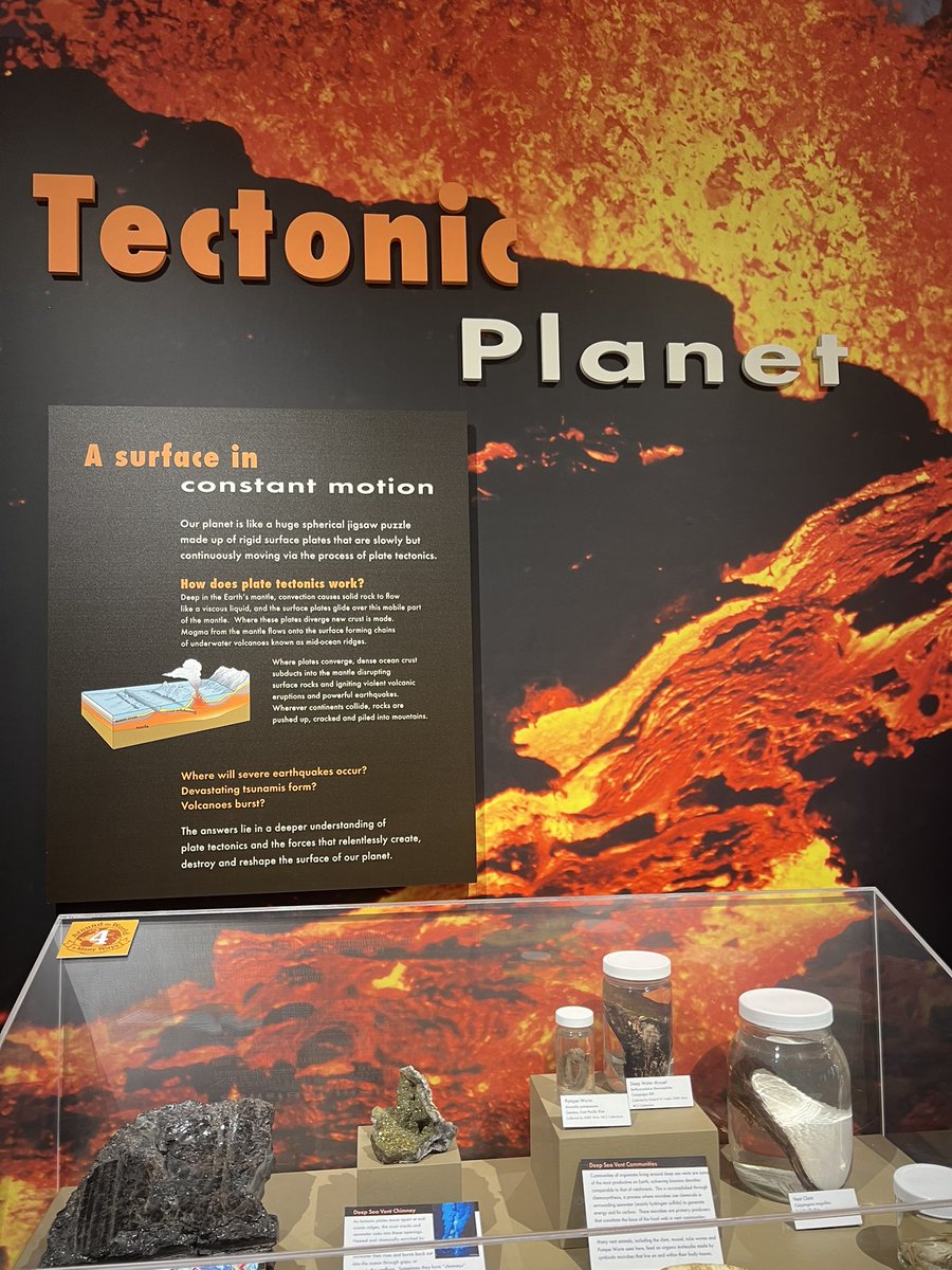 Erin Schuck tweet media