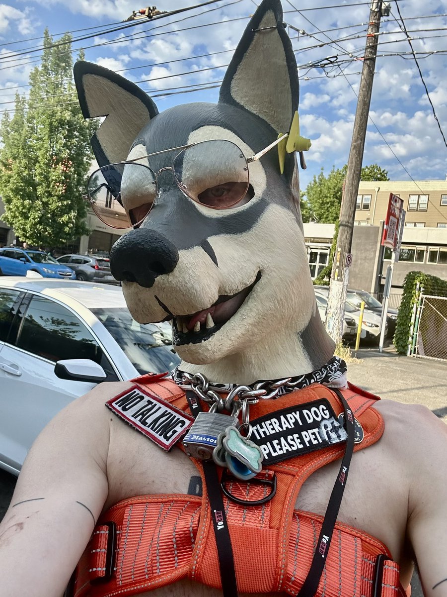 knotchThePig's tweet photo. Snapped a shot during a smoke break at yesterday’s puppy mosh https://t.co/VGIKoyPDas