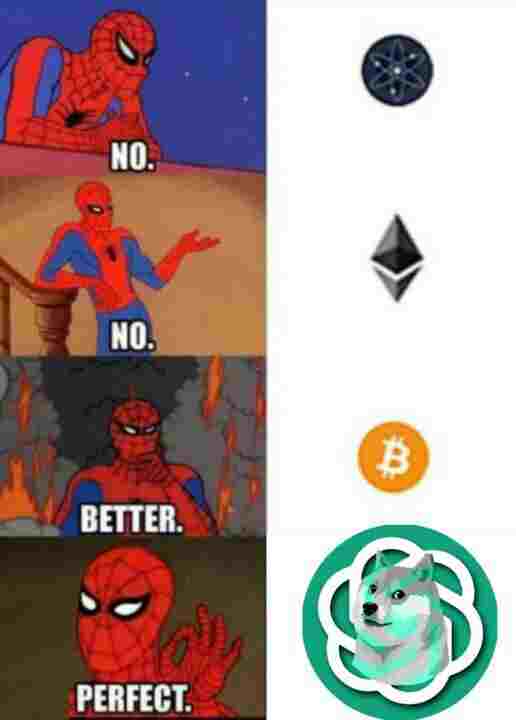 VironyGray's tweet photo. @Crypto__Diva DOGE GPT, the AI-Powered platform for Dogecoin enthusiasts to predict the future market or price of Dogecoin.
Low tax 
Massive marketing
✔cex✅
✅CG / ✅BITMART fast track
Presale Live (Ends Soon)

#DGPT #DOGE.20 #SHIB.20 #PEPE.20 #HODL #ChatGPT #ElonMusk
Tw:
 @DOGEGPTCOIN1 https://t.co/pEYJWpgw9Z