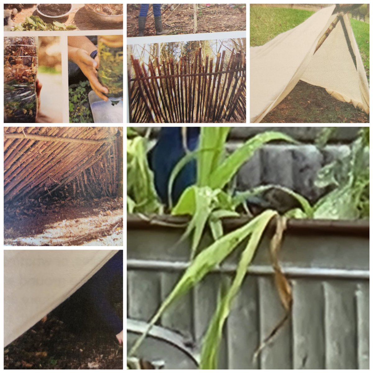 recebriscoe's tweet photo. J.O.Y. Get ready to explore shelter building, this week.
Program near Tottenham, ON this July 
Space still available.
Message Tracy Briscoe for more information, email is tmbriscoe3@gmail.com or phone and leave a message 416 994 1274

Follow on Instagram grace_stones.soul_space https://t.co/lw9n2OJYw1