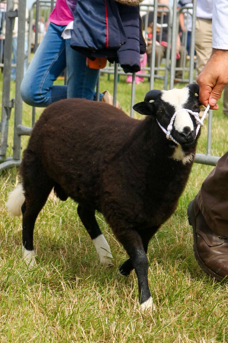 Katie Mander tweet media