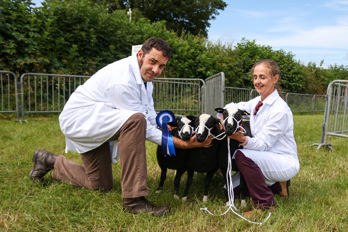 Katie Mander tweet media