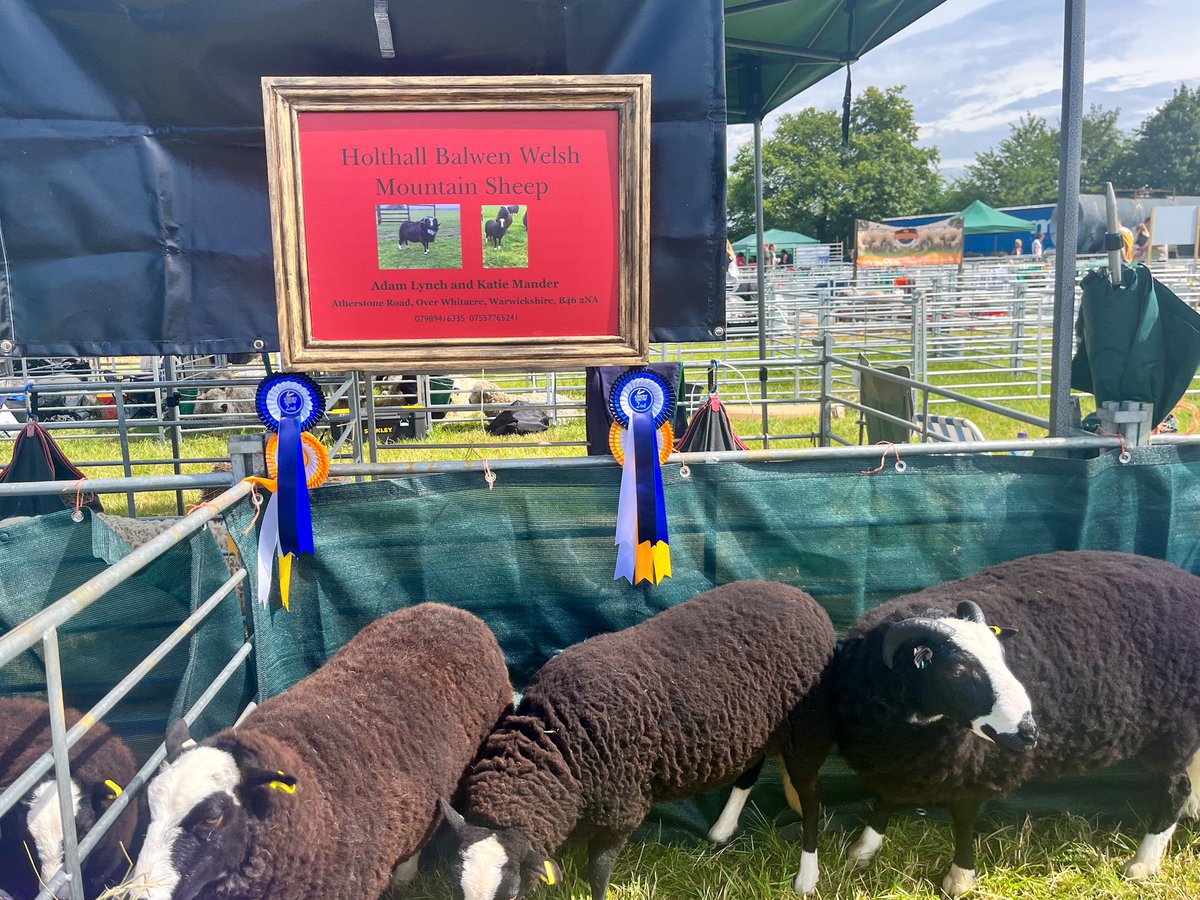 Katie Mander tweet media