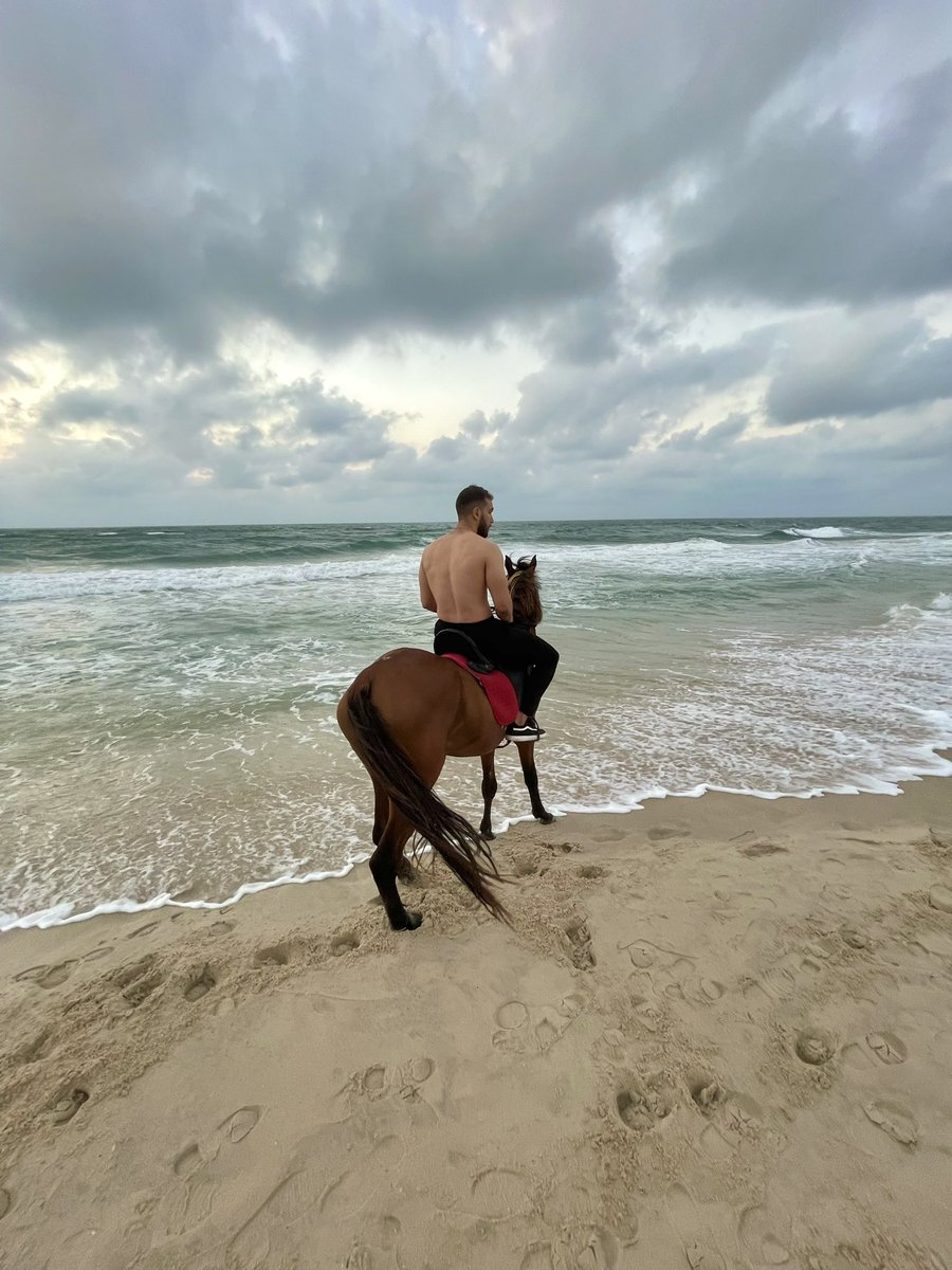 Eslam_Sabri_1's tweet photo. 🌊🐎 https://t.co/3CT9fmhYMF