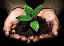 "Every day is Earth Day when you work in agriculture."