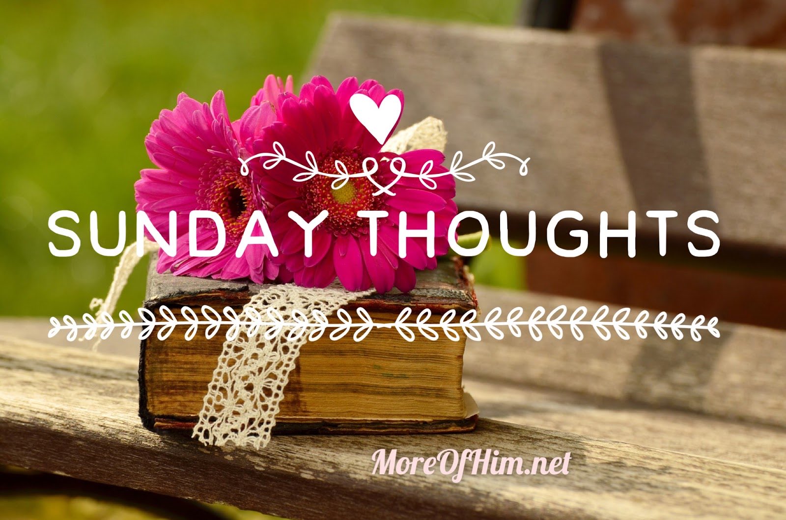 The Calvin Coolidge Project on Twitter: "I am going to try something ...