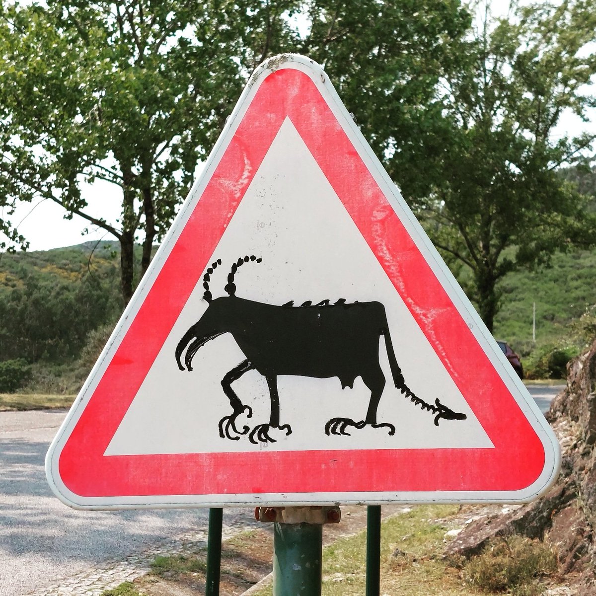 Por suerte, no se cruzó ninguna