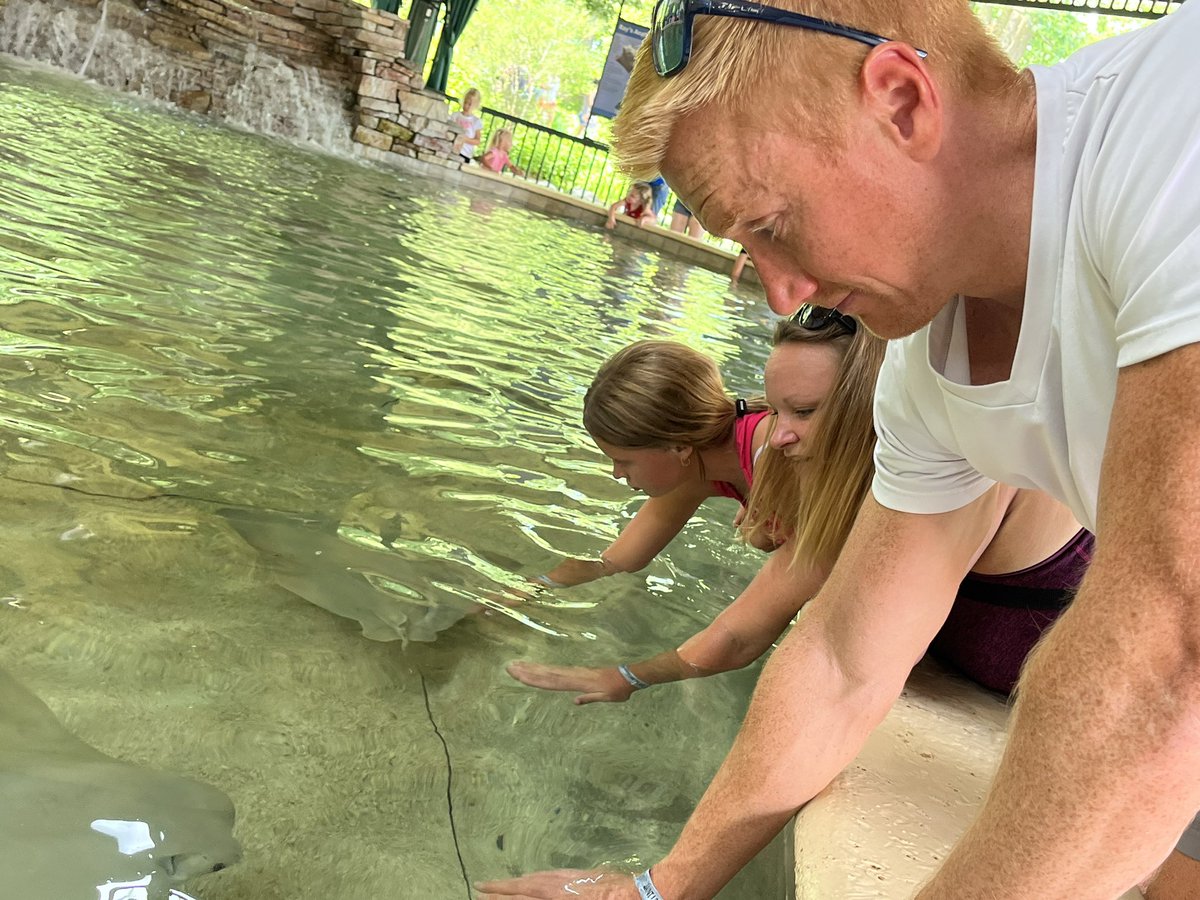 STLMelB's tweet photo. Doesn’t get much better than this in #stl. Perfect day for a @stlzoo outing with the littles to explore 🦕🦭🎠🚂 and alll the animals! #mycity @explorestlouis #aunting https://t.co/XCrcsnYaML