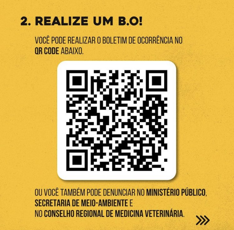 aec_ufrn's tweet photo. 🚨Denúncia: Mais um caso de abandono na UFRN!

Infelizmente, esta não é a primeira vez que isso ocorre. Diariamente, recebemos notícias de gatos abandonados no campus. Desta vez, um filhotinho foi deixado em uma caixa nas proximidades do RU na UFRN, ainda com o cordão umbilical! https://t.co/nlKfSaO9L5