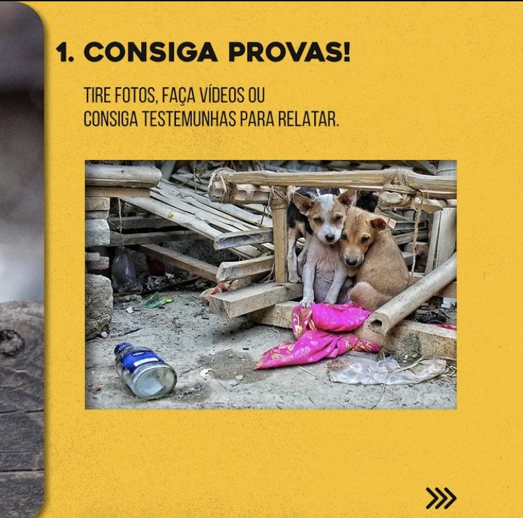 aec_ufrn's tweet photo. 🚨Denúncia: Mais um caso de abandono na UFRN!

Infelizmente, esta não é a primeira vez que isso ocorre. Diariamente, recebemos notícias de gatos abandonados no campus. Desta vez, um filhotinho foi deixado em uma caixa nas proximidades do RU na UFRN, ainda com o cordão umbilical! https://t.co/nlKfSaO9L5