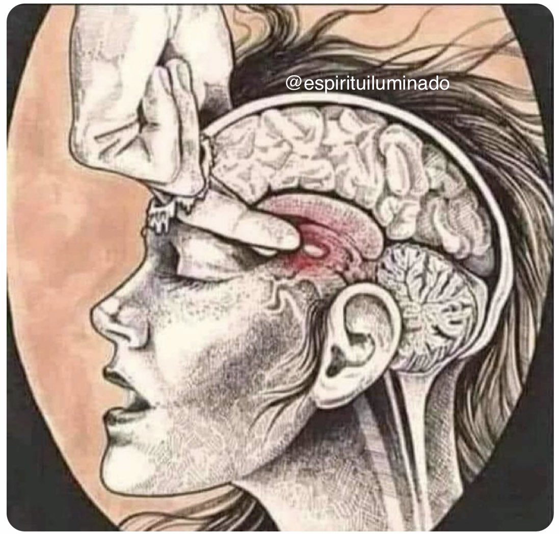 espirituilum's tweet photo. Acostumbra a tu mente a ver lo bueno de cada situación. No te desgastes en la negatividad. https://t.co/RiJjiMaKlg