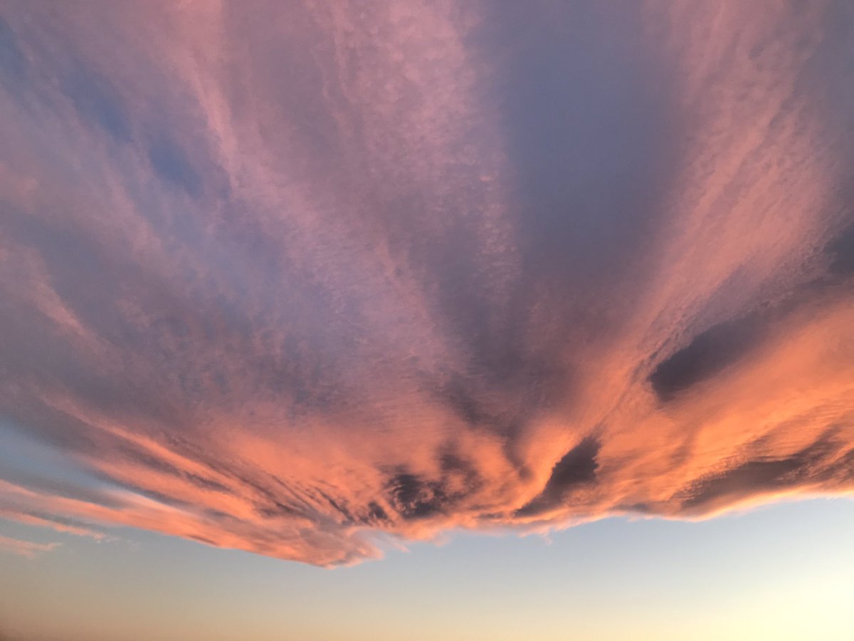 fourth of july drives man