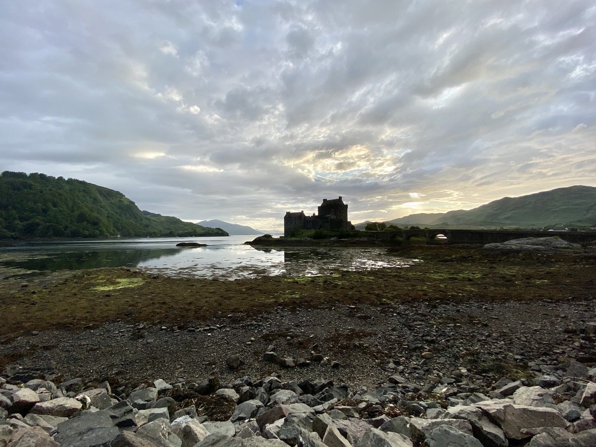 Marion Koopmans, publications: https://pure.eur.nl tweet media